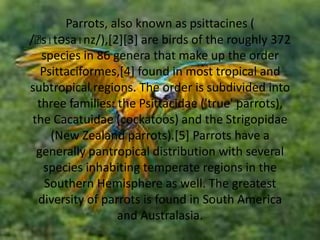Parrots, also known as psittacines ( /ˈsɪtəsaɪnz/),[2][3] are birds of the roughly 372 species in 86 genera that make up the order Psittaciformes,[4] found in most tropical and subtropical regions. The order is subdivided into three families: the Psittacidae ('true' parrots), the Cacatuidae (cockatoos) and the Strigopidae (New Zealand parrots).[5] Parrots have a generally pantropical distribution with several species inhabiting temperate regions in the Southern Hemisphere as well. The greatest diversity of parrots is found in South America and Australasia. 