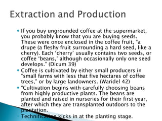 If you buy ungrounded coffee at the supermarket, you probably know that you are buying seeds. These were once enclosed in the coffee fruit, “a drupe (a fleshy fruit surrounding a hard seed, like a cherry). Each ‘cherry’ usually contains two seeds, or coffee ‘beans,’ although occasionally only one seed develops.” (Dicum 39) Coffee is cultivated by either small producers in “small farms with less that five hectares of coffee trees,” or by large landowners. (Waridel 42) “ Cultivation begins with carefully choosing beans from highly productive plants. The beans are planted and raised in nurseries for their first year, after which they are transplanted outdoors to the plantation. Technification kicks in at the planting stage. 