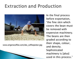 In the final process before exportation, “the fine skin which covers the bean must be removed with expensive machinery. The beans are then graded according to their shape, colour, and density. Sophisticated machinery is [also] used in this process.” (Waridel 50) www.origenscoffee.com/sbs_coffeepicker.jpg 