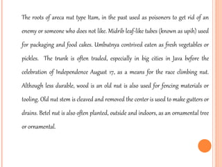 The roots of areca nut type Itam, in the past used as poisoners to get rid of an enemy or someone who does not like. Midrib leaf-like tubes (known as upih) used for packaging and food cakes. Umbutnya contrived eaten as fresh vegetables or pickles.  The trunk is often traded, especially in big cities in Java before the celebration of Independence August 17, as a means for the race climbing nut. Although less durable, wood is an old nut is also used for fencing materials or tooling. Old nut stem is cleaved and removed the center is used to make gutters or drains. Betel nut is also often planted, outside and indoors, as an ornamental tree or ornamental. 