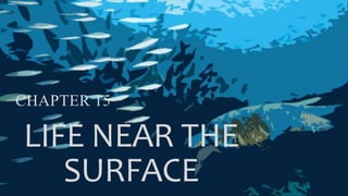 LIFE NEAR THE
SURFACE
CHAPTER 15
 