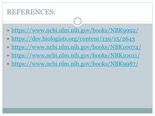 REFERENCES:
 https://www.ncbi.nlm.nih.gov/books/NBK9992/
 https://dev.biologists.org/content/139/15/2643
 https://www.ncbi.nlm.nih.gov/books/NBK10074/
 https://www.ncbi.nlm.nih.gov/books/NBK10011/
 https://www.ncbi.nlm.nih.gov/books/NBK9987/
 