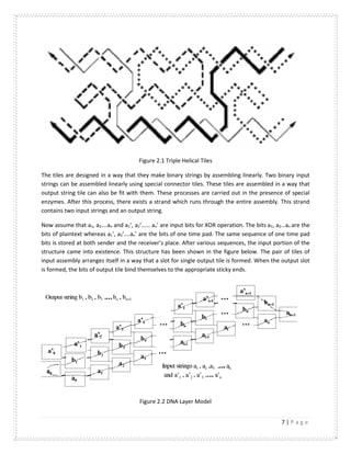 7 | P a g e
Figure 2.1 Triple Helical Tiles
The tiles are designed in a way that they make binary strings by assembling linearly. Two binary input
strings can be assembled linearly using special connector tiles. These tiles are assembled in a way that
output string tile can also be fit with them. These processes are carried out in the presence of special
enzymes. After this process, there exists a strand which runs through the entire assembly. This strand
contains two input strings and an output string.
Now assume that a1, a2….an and a1’, a2’…… an’ are input bits for XOR operation. The bits a1, a2…an are the
bits of plaintext whereas a1’, a2’….an’ are the bits of one time pad. The same sequence of one time pad
bits is stored at both sender and the receiver’s place. After various sequences, the input portion of the
structure came into existence. This structure has been shown in the figure below. The pair of tiles of
input assembly arranges itself in a way that a slot for single output tile is formed. When the output slot
is formed, the bits of output tile bind themselves to the appropriate sticky ends.
Figure 2.2 DNA Layer Model
 