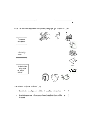 4


X Une con líneas de colores los alimentos con el grupo que pertenece. ( 10 ).




       Cereales y
       tubérculos.




       Verduras y
       frutas.




       Leguminosas
       y alimentos
       de origen
       animal.




XI. Circula la respuesta correcta. ( 3 )

   •     Las plantas son el primer eslabón de la cadena alimenticia    V   F

   •     Los delfines son el primer eslabón de la cadena alimenticia   V   F
         acuática.
 