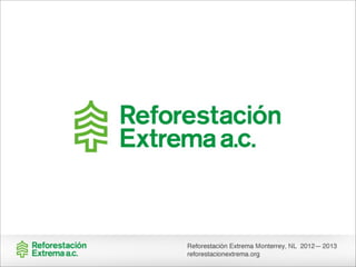Reforestacion Extrema Reporte Anual 2012-2013