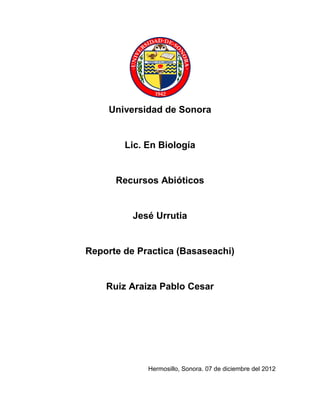 Universidad de Sonora


        Lic. En Biología


      Recursos Abióticos


          Jesé Urrutia


Reporte de Practica (Basaseachi)


    Ruiz Araiza Pablo Cesar




             Hermosillo, Sonora. 07 de diciembre del 2012
 