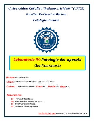 Universidad Católica “Redemptoris Mater” (UNICA)
Facultad De Ciencias Médicas
Patología Humana
Docente: Dr. Silvio Escoto.
Grupo: “A “de laboratorio Matutino: 9:00 am – 10: 00 am.
Carrera: 3° de Medicina General. Grupo: E9. Sección: “A”. Mesa: N° 1
ElaboradoPor:
14 - Fernanda Pineda Gea
38- Mónica Beatriz Bolaños Gutiérrez.
15 - Wendy Geraldine Quiroz.
22 - Edén Josué Guevara Jiménez.
Fecha de entrega: miércoles, 11 de Noviembre de 2015.
Laboratorio IV: Patología del aparato
Genitourinario
 