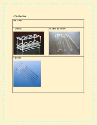 COLORACIÓN
MATERIAL
1 Gradilla 10 tubos de ensayo
5 pipetas
 