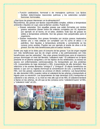  Función catalizadora, hormonal o de mensajeros químicos: Los lípidos
facilitan determinadas reacciones químicas y los esteroides cumplen
funciones hormonales.
¿Qué tipos de grasas intervienen en la alimentación?
Recordemos, las grasas son lípidos saponificables simples, sólidos a temperatura
ambiente o líquidos en cuyo caso se llaman aceites. Puede ser:
 Grasas saturadas: Son aquellas grasas que están formadas por ácidos
grasos saturados (tienen todos los enlaces completos por H). Aparecen
por ejemplo en el tocino, en el sebo, etcétera. Este tipo de grasas es
sólido a temperatura ambiente. Son las grasas más perjudiciales para el
organismo.
 Grasas insaturadas: Son grasas formadas por ácidos grasos insaturados
(tienen uno o más enlaces sin completar con H) como el oleico o el
palmítico. Son líquidas a temperatura ambiente y comúnmente se les
conoce como aceites. Pueden ser por ejemplo el aceite de oliva o el de
girasol. Son las más beneficiosas para el cuerpo humano.
Existe una regla en la dieta para el consumo de las grasas: “Las de origen vegetal
son más beneficiosas que las de origen animal, y las poliinsaturadas son más
beneficiosas que las saturadas”. Hay unas grasas beneficiosas para el organismo
porque disminuyen el nivel del llamado “colesterol malo”. El colesterol es un lípido
presente en el plasma sanguíneo y en los tejidos de los vertebrados, su exceso se
asocia con enfermedades cardiovasculares. Es transportado por dos proteínas
LDL (Lipoproteína de baja densidad) y HDL (Lipoproteína de alta densidad). Nos
referimos a los aceites llamados “omega-3” y “omega-6”. El efecto beneficioso es
debido a que con su ingesta disminuye la concentración de LDL y aumenta la de
HDL (con las grasas saturadas se produce el efecto contrario). Las lipoproteínas
de alta densidad (HDL) pueden retirar el colesterol de las arterias y transportarlo al
hígado para su excreción. Las lipoproteínas de baja densidad (LDL) transportan el
colesterol a las arterias, si su nivel es más alto que el de HDL el colesterol tenderá
a fijarse en las arterias, de ahí que se les conozca como “colesterol bueno” al HDL
y “colesterol malo” al LDL.
 