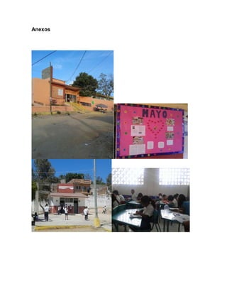Anexos
 