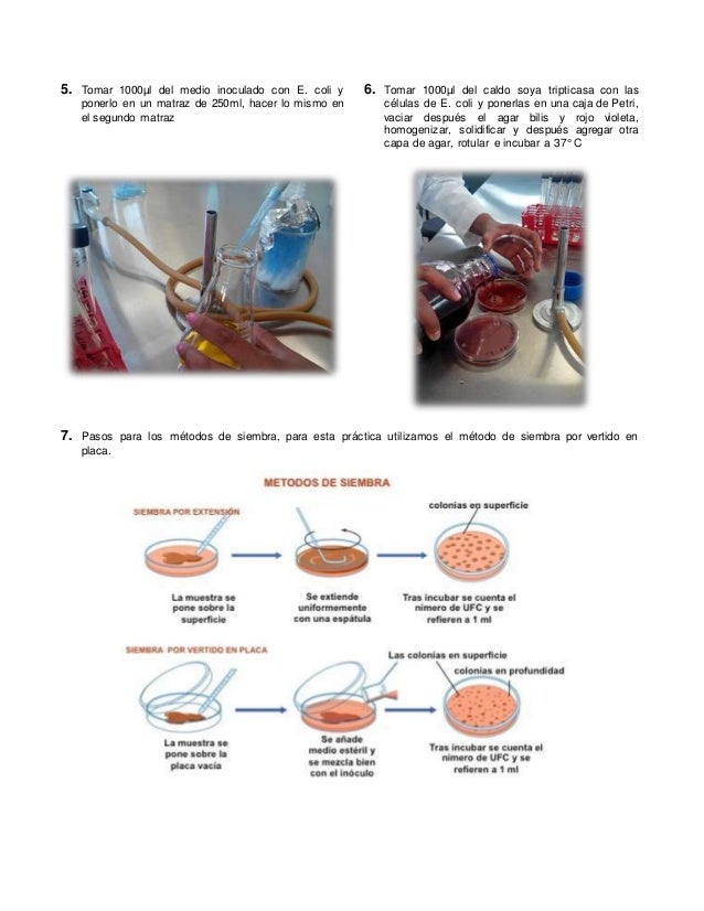 Crecimiento microbiano