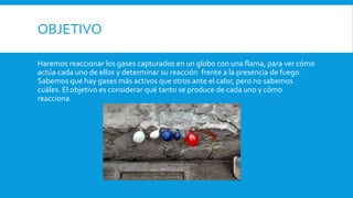 OBJETIVO
Haremos reaccionar los gases capturados en un globo con una flama, para ver cómo
actúa cada uno de ellos y determinar su reacción frente a la presencia de fuego.
Sabemos que hay gases más activos que otros ante el calor, pero no sabemos
cuáles. El objetivo es considerar qué tanto se produce de cada uno y cómo
reacciona.
 