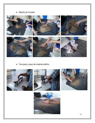 11
Método de Cuarteo
Tamizado y peso de material edáfico
 