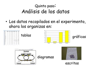 • Los datos recopilados en el experimento,
ahora los organizas en:
Quinto paso:
Análisis de los datos
tablas gráficas
diagramas
escritos
 