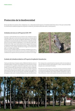 Protección de la biodiversidad
Por la naturaleza de nuestras obras, trabajamos con un alto potencial de impacto en la biodiversidad de las áreas en las que se desarrollan.
Por ello, llevamos adelante programas de gestión ambiental y de biodiversidad adecuados a cada proyecto.
Medio Ambiente
Anidadas de teros en el Proyecto CCR-YPF
Cuidado de la biodiversidad en el Proyecto Ampliación Gasoductos
Cuando en 2011 identificamos la existencia de anidadas de teros
(Vanellus chilensis) en el terreno de construcción, se comprendió el
riesgodeafectaralasavesporlaampliacióndelobradorylostrabajos
asociados al movimiento del suelo. Para evitarlo, se identificaron las
áreas en las que estaban emplazados y no se intervino sobre ellas.
Se formaron “islas” que mantuvieron la zona segura hasta que se
completaraelanidamientonaturaldeloshuevos.Ysólocuandotodos
los pichones y teros adultos abandonaron el lugar, se removieron las
islas y se trabajó sobre el lugar.
Graciasaestasmedidas,logramosmantenerelhábitatdelasavesy,
alavez,fortalecimoslaconcienciaacercadelaresponsabilidadporel
cuidadodelasespeciesdefaunapresentesenelentornodetrabajo.
Tanto para disminuir el impacto sobre el Medio Ambiente como en
la biodiversidad, el Proyecto de Ampliación de Gasoductos incluye
un programa de gestión ambiental específico para cada sitio
donde se desarrolla. Del exhaustivo estudio de impacto realizado,
se concluyó que durante la etapa constructiva había riesgo de
alteracionestemporariasdehábitats,raleooreduccióndevegetación
por emisiones de ruido, en los espacios naturales protegidos y no
protegidosdealtovalorenbiodiversidadporlosqueatraviesalaobra.
Por tratarse de una obra lineal, los impactos están circunscriptos al
área de influencia directa del proyecto, es decir, al área de derecho
de paso con un ancho de 15 metros.
Paradisminuirtalesimpactos,setomaronaccionespreventivasdesde
elcomienzodelaobra.Entrelasprincipalesmedidasimplementadas,
se incluyen la prohibición de la tala de árboles de diámetro mayor a
50 centímetros, evitar la interrupción de áreas de tránsito de fauna
 