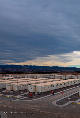 Proyecto Potasio Río Colorado, provincia de Mendoza.
 