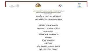 UNIVERSIDAD INTERCULTURAL DEL ESTADO DE PUEBLA
Organismo Público Descentralizado del Gobierno del Estado
C.C.T. 21ESU0053Y
DIVISIÓN DE PROCESOS NATURALES
INGENIERÍA FORESTAL COMUNITARIA
INFORME DE VINCULACION
DEL 11 AL 22 DE MAYO DE 2015
COMUNIDAD:
TEPANYEHUAL, NAUZONTLA
BRIGADA:
2° Y 4° SEMESTRE
ASESORES:
BIÓL. AMPARO VÁZQUEZ GARCÍA
ING. FÉLIX PÉREZ CHANEZ
 