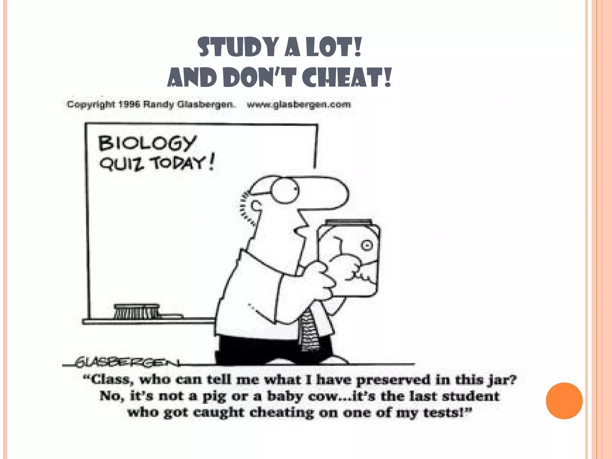 STUDY A LOT!
AND DON’T CHEAT!
 