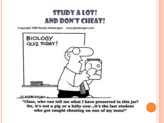 STUDY A LOT!
AND DON’T CHEAT!
 