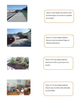 Anexo 6. Esta imágen nos muestra cómo
 los niños llegan a la escuela en compañía
 de un adulto.




Anexo 8. En esta imágen podemos
observar cómo los alumnos llegan en
vehículos particulares.




Anexo 9. En esta imágen podemos
observar los cultivos que tienen en la
escuela.




Anexo 10. En esta imágen podemos
observar que los niños están realizando
sus actividades.
 