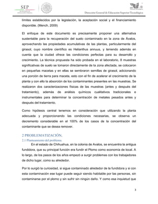 3
límites establecidos por la legislación, la aceptación social y el financiamiento
disponible. (Mench, 2009)
El enfoque de este documento es precisamente proponer una alternativa
sustentable para la recuperación del suelo contaminado en la zona de Ávalos,
aprovechando las propiedades acumulativas de las plantas, particularmente del
girasol, cuyo nombre científico es Helianthus annuus, y teniendo además en
cuenta que la ciudad ofrece las condiciones perfectas para su desarrollo y
crecimiento. La técnica propuesta ha sido probada en el laboratorio, 8 muestras
significativas de suelo se tomaron directamente de la zona afectada, se colocaron
en pequeñas macetas y en ellas se sembraron semillas de girasol, adicionando
una porción de tierra para maceta, esto con el fin de acelerar el crecimiento de la
planta y con ello la absorción de los contaminantes presentes en las muestras. Se
realizaron dos caracterizaciones físicas de las muestras (antes y después del
tratamiento), además de análisis químicos cualitativos tradicionales e
instrumentales para determinar la concentración de metales pesados antes y
después del tratamiento.
Como hipótesis central tenemos en consideración que utilizando la planta
adecuada y proporcionando las condiciones necesarias, se observa un
decremento considerable en el 100% de los casos de la concentración del
contaminante que se desea remover.
2 PROBLEMATIZACIÓN.
2.1 Planteamiento del problema.
En el estado de Chihuahua, en la colonia de Avalos, se encuentra la antigua
fundidora, que su principal función era fundir el Plomo como economía de local. A
lo largo, de los pasos de los años empezó a surgir problemas con los trabajadores
de dicho lugar, como su alrededor.
Por lo surgió la curiosidad, si sigue contaminado alrededor de la fundidora y si con
esta contaminación ese lugar puede seguir siendo habitable por las personas, sin
contaminarse por el plomo y sin sufrir sin ningún daño. Y como esa inquietud que
 
