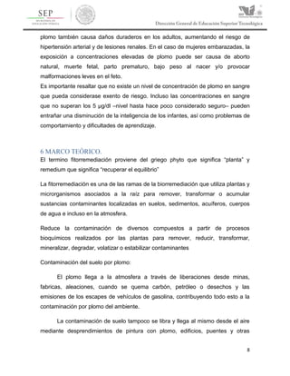 8
plomo también causa daños duraderos en los adultos, aumentando el riesgo de
hipertensión arterial y de lesiones renales. En el caso de mujeres embarazadas, la
exposición a concentraciones elevadas de plomo puede ser causa de aborto
natural, muerte fetal, parto prematuro, bajo peso al nacer y/o provocar
malformaciones leves en el feto.
Es importante resaltar que no existe un nivel de concentración de plomo en sangre
que pueda considerase exento de riesgo. Incluso las concentraciones en sangre
que no superan los 5 µg/dl –nivel hasta hace poco considerado seguro– pueden
entrañar una disminución de la inteligencia de los infantes, así como problemas de
comportamiento y dificultades de aprendizaje.
6 MARCO TEÓRICO.
El termino fitorremediación proviene del griego phyto que significa “planta” y
remedium que significa “recuperar el equilibrio”
La fitorremediación es una de las ramas de la biorremediación que utiliza plantas y
microrganismos asociados a la raíz para remover, transformar o acumular
sustancias contaminantes localizadas en suelos, sedimentos, acuíferos, cuerpos
de agua e incluso en la atmosfera.
Reduce la contaminación de diversos compuestos a partir de procesos
bioquímicos realizados por las plantas para remover, reducir, transformar,
mineralizar, degradar, volatizar o estabilizar contaminantes
Contaminación del suelo por plomo:
El plomo llega a la atmosfera a través de liberaciones desde minas,
fabricas, aleaciones, cuando se quema carbón, petróleo o desechos y las
emisiones de los escapes de vehículos de gasolina, contribuyendo todo esto a la
contaminación por plomo del ambiente.
La contaminación de suelo tampoco se libra y llega al mismo desde el aire
mediante desprendimientos de pintura con plomo, edificios, puentes y otras
 