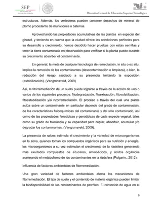 9
estructuras. Además, los vertederos pueden contener desechos de mineral de
plomo procedente de municiones o baterías.
Aprovechando las propiedades acumulativas de las plantas en especial del
girasol, y teniendo en cuenta que la ciudad ofrece las condiciones perfectas para
su desarrollo y crecimiento, hemos decidido hacer pruebas con estas semillas y
tener la tierra contaminada en observación para verificar si la planta puede durante
su crecimiento absorber el contaminante.
En general, la meta de cualquier tecnología de remediación, in situ o ex situ,
implica la remoción de los contaminantes (descontaminación o limpieza), o bien, la
reducción del riesgo asociado a su presencia limitando la exposición
(estabilización). (Vangronsveld, 2009)
Así, la fitorremediación de un suelo puede lograrse a través de la acción de uno o
varios de los siguientes procesos: fitodegradación, fitoextracción, fitovolatilización,
fitoestabilización y/o rizorremediación. El proceso a través del cual una planta
actúa sobre un contaminante en particular depende del grado de contaminación,
de las características fisicoquímicas del contaminante y del sitio contaminado, así
como de las propiedades fenotípicas y genotípicas de cada especie vegetal, tales
como su grado de tolerancia y su capacidad para captar, absorber, acumular y/o
degradar los contaminantes. (Vangronsveld, 2009).
La presencia de raíces estimula el crecimiento y la variedad de microorganismos
en la zona, quienes toman los compuestos orgánicos para su nutrición y energía,
los microorganismos a su vez estimulan el crecimiento de la rizósfera generando
más exudados compuestos de azucares, aminoácidos, y ácidos orgánicos
acelerando el metabolismo de los contaminantes en la rizósfera (Pulgarin., 2012).
Influencia de factores ambientales de fitorremediación.
Una gran variedad de factores ambientales afecta los mecanismos de
fitorremediación. El tipo de suelo y el contenido de materia orgánica pueden limitar
la biodisponibilidad de los contaminantes de petróleo. El contenido de agua en el
 