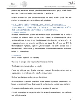 11
científico es Helianthus annuus, y teniendo además en cuenta que la ciudad ofrece
las condiciones perfectas para su desarrollo y crecimiento.
Obtener la remoción total de contaminantes del suelo de esta zona, para ser
exactos en una extensión superficial de seis hectáreas.
9 IMPACTO O BENEFICIO EN LA SOLUCIÓN A UN PROBLEMA
RELACIONADO CON EL SECTOR PRODUCTIVO O LA GENERACIÓN
DEL CONOCIMIENTO CIENTÍFICO O TECNOLÓGICO.
9.1 Impacto ambiental
Diversos contaminantes pueden ser metabolizados, estabilizados en el suelo o
extraídos del mismo a través de uno u otro proceso de fitorremediación, con la
ventaja adicional de que el uso de plantas permite el control de la erosión y la
evapotranspiración de grandes cantidades de agua. En el caso de CO, la
fitorremediación implica su captación y translocación a los tejidos aéreos, para su
metabolismo o volatilización y, en ocasiones, su mineralización hasta moléculas
como CO2, NO3 y NH4.
9.2 Beneficios
Puede llevarse a cabo in situ y ex situ
Depende de energía solar y su mantenimiento es mínimo
Opción permanente que reduce la erosión
Puede ser utilizada para limpiar una gran variedad de contaminantes, por su
capacidad de absorción de estos metales en sus raíces
Reduce la entrada de contaminantes al ambiente
Se puede llevar a cabo sin necesidad de transportar el sustrato contaminado, por
lo cual no se corre el riesgo de propagar la contaminación hacia el agua o el aire
Es una tecnología sustentable y permite el reciclado de recursos
Propicia una mejora en las propiedades físicas y químicas del suelo, ya que forma
una cubierta vegetal
 