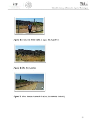 21
Figura 3 Evidencia de la visita al lugar de muestreo
Figura 2 Sitio de muestreo
Figura 3 Vista desde afuera de la zona (totalmente cercada)
 