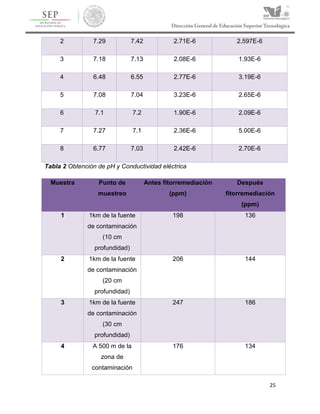 25
2 7.29 7.42 2.71E-6 2.597E-6
3 7.18 7.13 2.08E-6 1.93E-6
4 6.48 6.55 2.77E-6 3.19E-6
5 7.08 7.04 3.23E-6 2.65E-6
6 7.1 7.2 1.90E-6 2.09E-6
7 7.27 7.1 2.36E-6 5.00E-6
8 6.77 7.03 2.42E-6 2.70E-6
Tabla 2 Obtención de pH y Conductividad eléctrica
Muestra Punto de
muestreo
Antes fitorremediación
(ppm)
Después
fitorremediación
(ppm)
1 1km de la fuente
de contaminación
(10 cm
profundidad)
198 136
2 1km de la fuente
de contaminación
(20 cm
profundidad)
206 144
3 1km de la fuente
de contaminación
(30 cm
profundidad)
247 186
4 A 500 m de la
zona de
contaminación
176 134
 