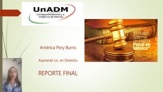 América Pory Burns
Aspirante Lic. en Derecho
REPORTE FINAL
 