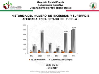 Gerencia Estatal Puebla
Subgerencia Operativa
Departamento de Protección Forestal
HISTORICA DEL NUMERO DE INCENDIOS Y SUPERFICIE
AFECTADA EN EL ESTADO DE PUEBLA .
0
2000
4000
6000
8000
10000
12000
2012 2013 2014 2015 2016 2017
363 500 330 156
431 490
2,955
9,032
3,733
2,109
8,936
10,433
No. DE INCENDIOS SUPERFICIE AFECTADA (ha)
Corte al 2 de
Junio 2017
 