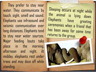 They prefer to stay near
water. They communicate by
touch, sight, smell and sound.
Elephants use infrasound and
seismic communication over
long distances. Elephants tend
to stay near water sources.
Major feeding bouts take
place in the morning,
afternoon and night. At
midday, elephants rest under
trees and may doze off while
standing.

 