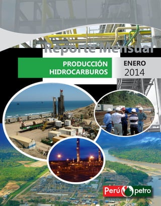 Reporte Mensual
PRODUCCIÓN
HIDROCARBUROS

ENERO

2014

 