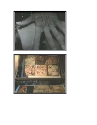 Reporte museo de memoria y tolerancia