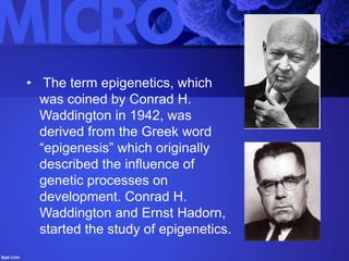 • The term epigenetics, which
was coined by Conrad H.
Waddington in 1942, was
derived from the Greek word
“epigenesis” which originally
described the influence of
genetic processes on
development. Conrad H.
Waddington and Ernst Hadorn,
started the study of epigenetics.
 