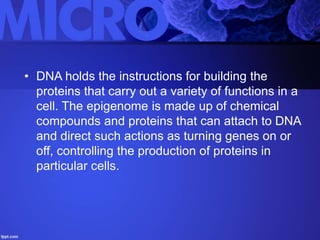 • DNA holds the instructions for building the
proteins that carry out a variety of functions in a
cell. The epigenome is made up of chemical
compounds and proteins that can attach to DNA
and direct such actions as turning genes on or
off, controlling the production of proteins in
particular cells.
 