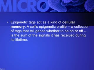 • Epigenetic tags act as a kind of cellular
memory. A cell's epigenetic profile -- a collection
of tags that tell genes whether to be on or off --
is the sum of the signals it has received during
its lifetime.
 
