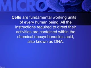 Cells are fundamental working units
of every human being. All the
instructions required to direct their
activities are contained within the
chemical deoxyribonucleic acid,
also known as DNA.
 