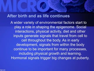 After birth and as life continues
A wider variety of environmental factors start to
play a role in shaping the epigenome. Social
interactions, physical activity, diet and other
inputs generate signals that travel from cell to
cell throughout the body. As in early
development, signals from within the body
continue to be important for many processes,
including physical growth and learning.
Hormonal signals trigger big changes at puberty.
 