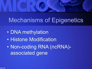 Mechanisms of Epigenetics
• DNA methylation
• Histone Modification
• Non-coding RNA (ncRNA)-
associated gene
 