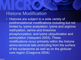 Histone Modification
• Histones are subject to a wide variety of
posttranslational modifications including but not
limited to, lysine acetylation, lysine and arginine
methylation, serine and threonine
phosphorylation, and lysine ubiquitination and
sumoylation (Vasquero 2003). These
modifications occur primarily within the histone
amino-terminal tails protruding from the surface
of the nucleosome as well as on the globular
core region (Cosgrove 2004).
 