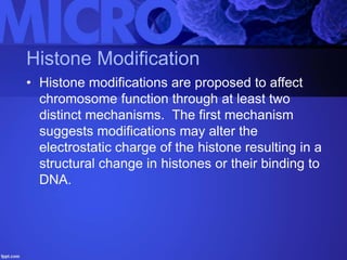 Histone Modification
• Histone modifications are proposed to affect
chromosome function through at least two
distinct mechanisms. The first mechanism
suggests modifications may alter the
electrostatic charge of the histone resulting in a
structural change in histones or their binding to
DNA.
 