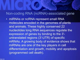 Non-coding RNA (ncRNA)-associated gene
• miRNAs or ncRNA represent small RNA
molecules encoded in the genomes of plants
and animals. These highly conserved 22
nucleotides long RNA sequences regulate the
expression of genes by binding to the 3'-
untranslated regions (3'-UTR) of specific
mRNAs. A growing body of evidence shows that
miRNAs are one of the key players in cell
differentiation and growth, mobility and apoptosis
(programmed cell death).
 