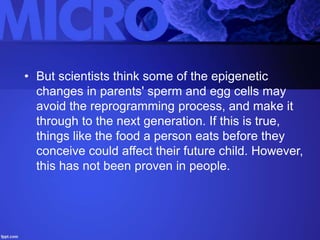 • But scientists think some of the epigenetic
changes in parents' sperm and egg cells may
avoid the reprogramming process, and make it
through to the next generation. If this is true,
things like the food a person eats before they
conceive could affect their future child. However,
this has not been proven in people.
 