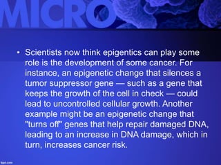 • Scientists now think epigentics can play some
role is the development of some cancer. For
instance, an epigenetic change that silences a
tumor suppressor gene — such as a gene that
keeps the growth of the cell in check — could
lead to uncontrolled cellular growth. Another
example might be an epigenetic change that
"turns off" genes that help repair damaged DNA,
leading to an increase in DNA damage, which in
turn, increases cancer risk.
 