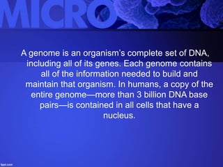 A genome is an organism’s complete set of DNA,
including all of its genes. Each genome contains
all of the information needed to build and
maintain that organism. In humans, a copy of the
entire genome—more than 3 billion DNA base
pairs—is contained in all cells that have a
nucleus.
 