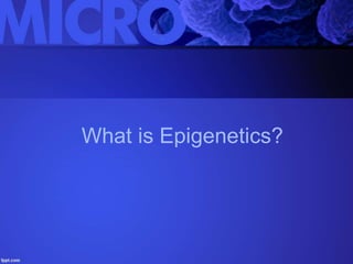 What is Epigenetics?
 