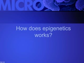 Epigenetics Slide 18