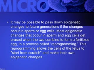 Epigenetics Slide 50